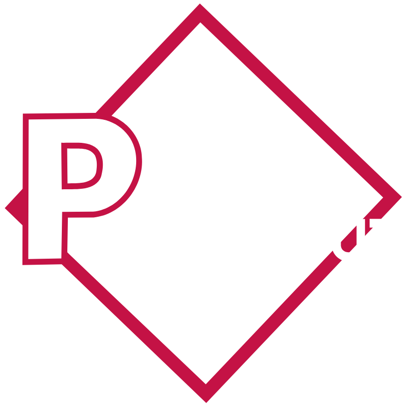 PALMAZOUT Logo